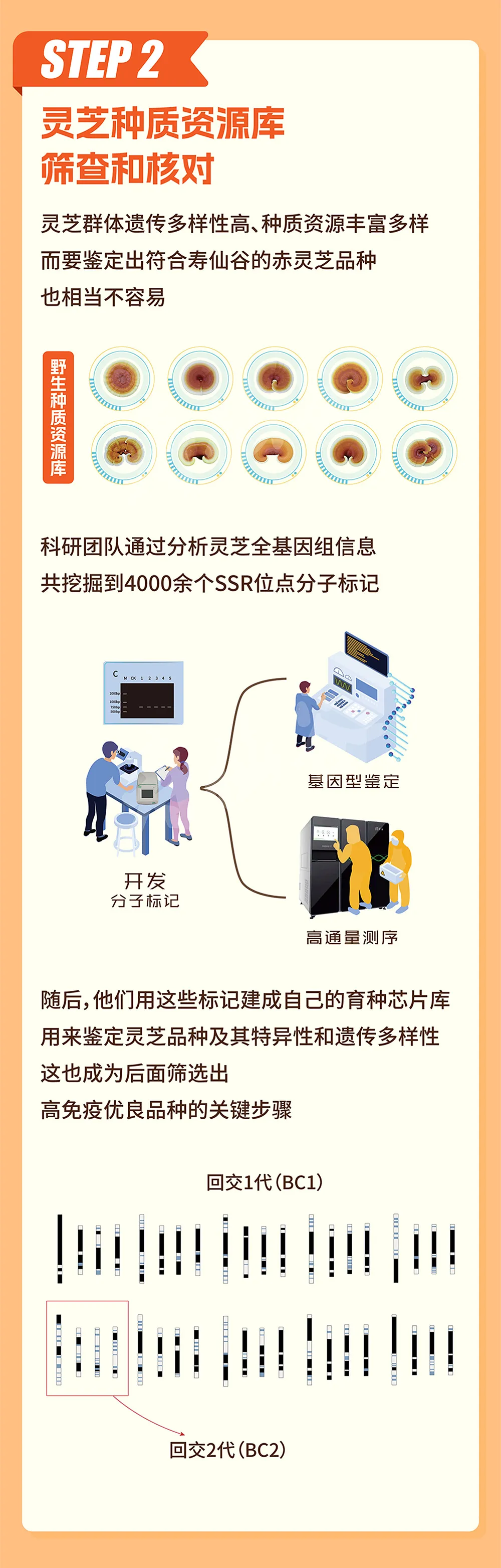 浙江AGGAME医药股份有限公司